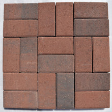 Load image into Gallery viewer, Holland