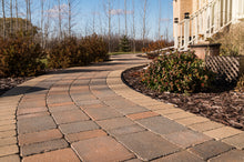 Load image into Gallery viewer, Roman Combo-Pack
